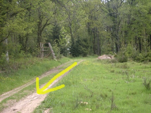 Chemin avec tree-stand et fleche